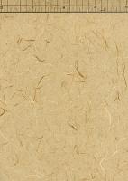 山根紙 淡鼠 山根紙 淡鼠