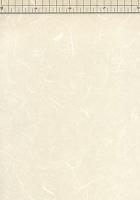 山根紙 未晒 山根紙 未晒