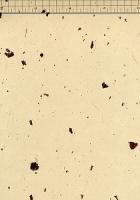 山根紙 皮入 山根紙 皮入